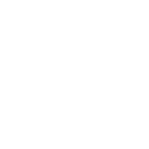 Socioeconomic Status 